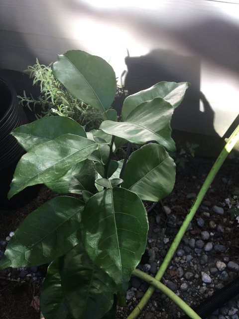 74FF3D75-54D1-435B-9130-5DE9AF00E979