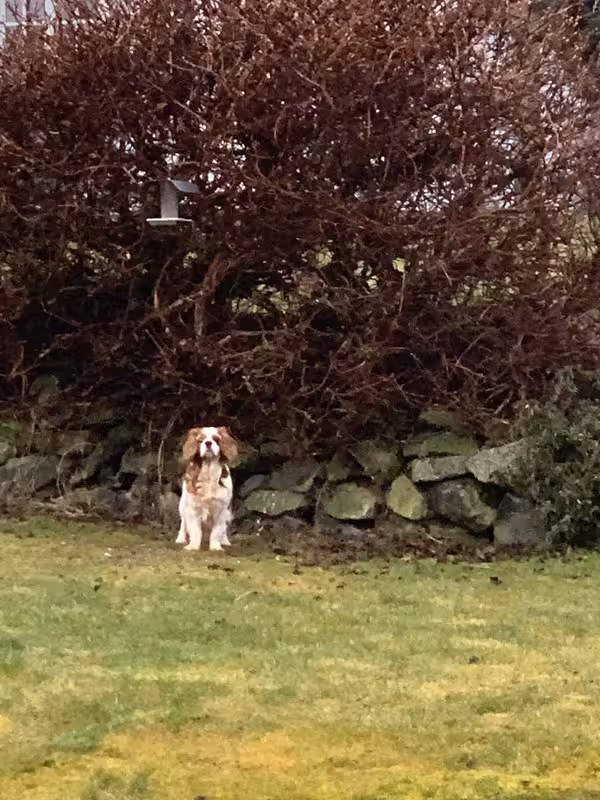 4CD2CBA3-3844-4F4A-A9C9-271B06C521EF