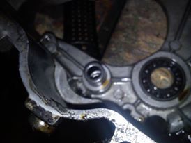 12071661_1473861429589929_462807283_n