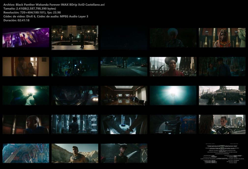 Black-Panther-Wakanda-Forever-IMAX-BDrip-Xvi-D-Castellano-avi.jpg