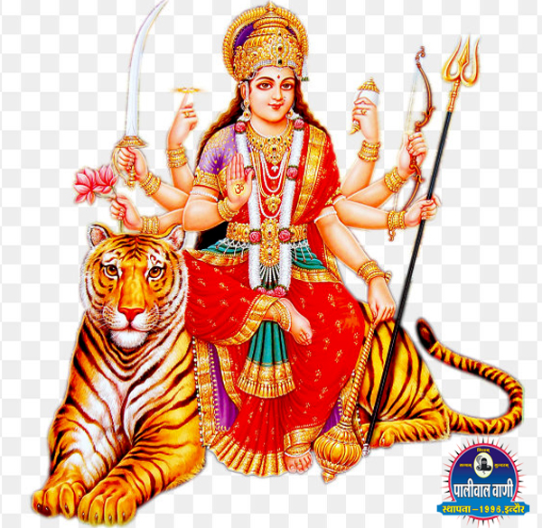 paliwalwani.com