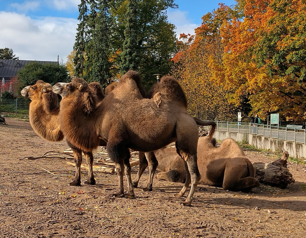 558996400_10231724417466648_232604302759065740_n