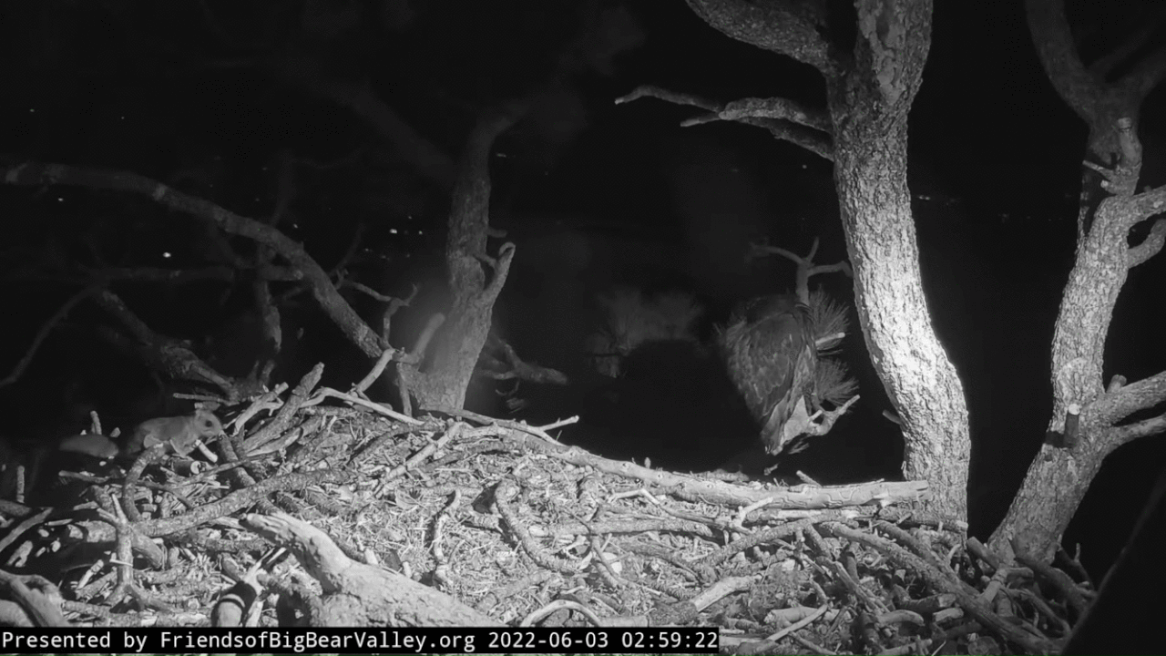 Webp.net-gifmaker (3)