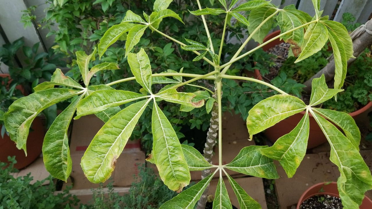 64461390-0052-4924-B30E-10302FC6859A