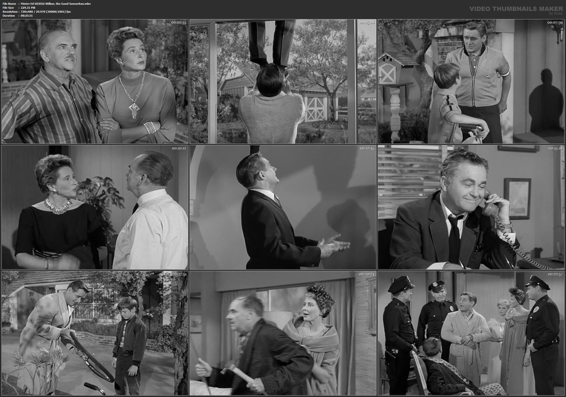 Mister Ed S03E02 Wilbur, the Good Samaritan.mkv