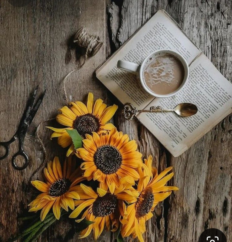 Screenshot_20240610_224506_Pinterest