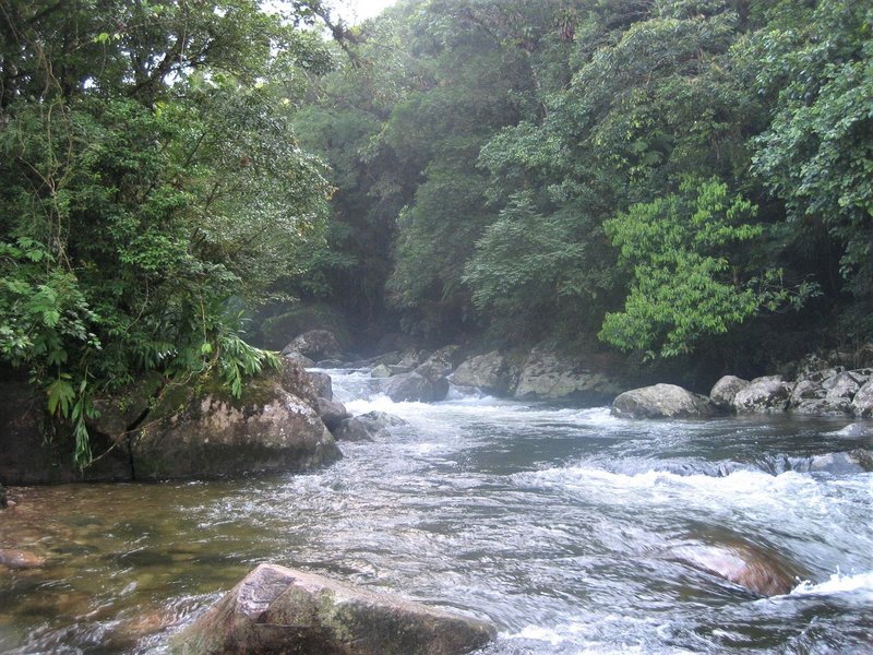 Brasil y sus pueblos-2010 - Blogs de Brasil - Sierra Graciosa-21-2-2010 (7)