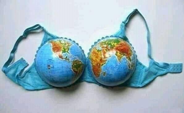 pijetao sisa najbolje