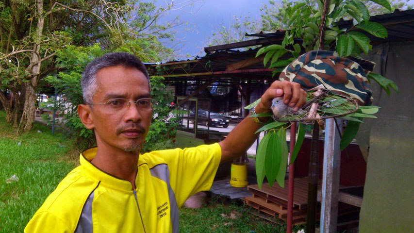 Kota Jaya Simpang 020313 (2)