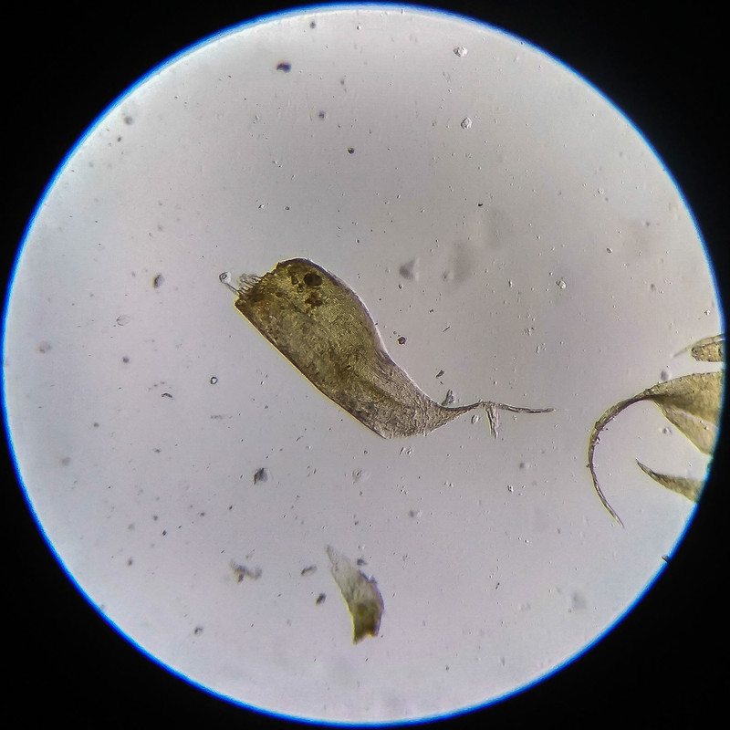 IMG 20250614 204435 HDR