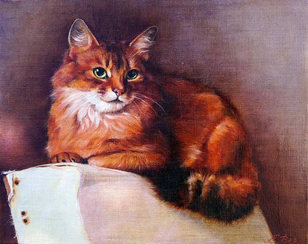 07