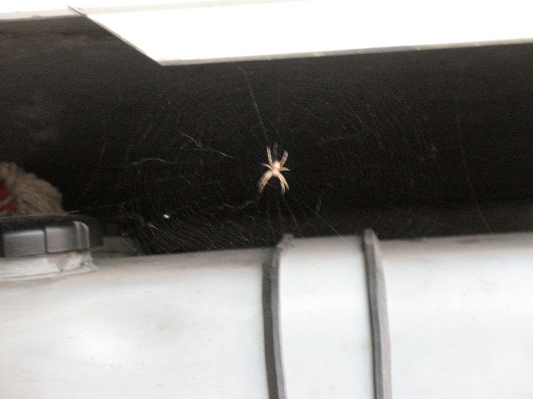 ADP System - Zelezniza 2009 (13)