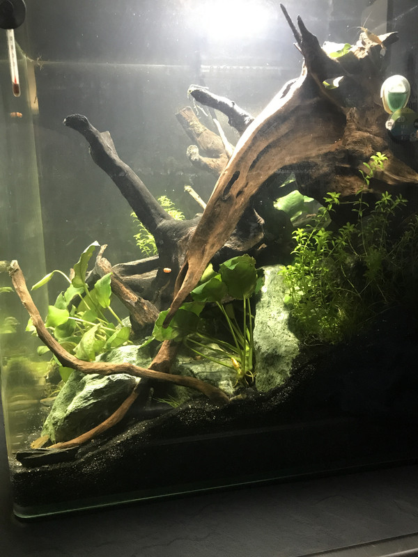 C9485B21-624A-4AE2-A61B-07B2932501A4