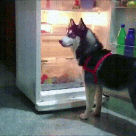 4d1319c22dd4f69e36e8ee5f7ab0a100.gif