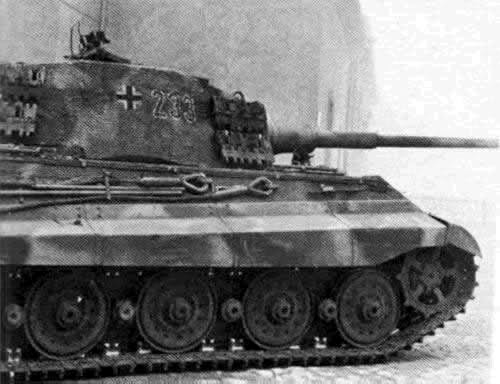 Königstiger