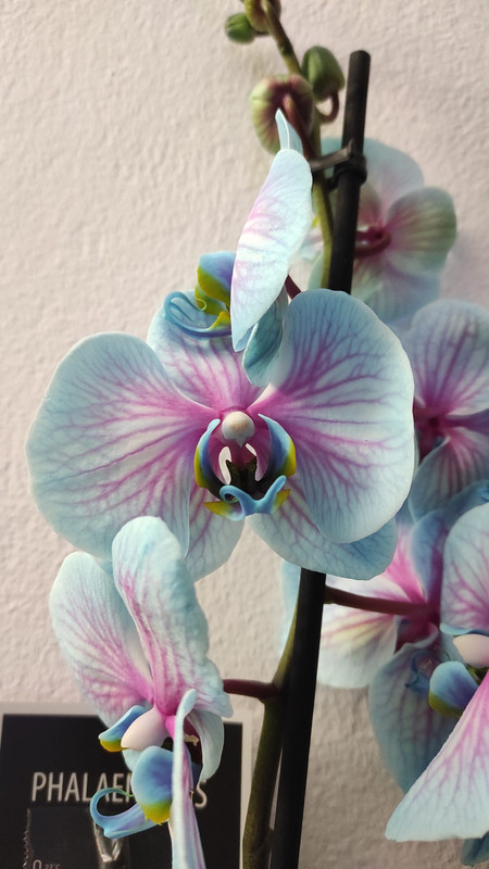 Imagen de WhatsApp 2025-01-09 a las 18.41.06_af1701ca