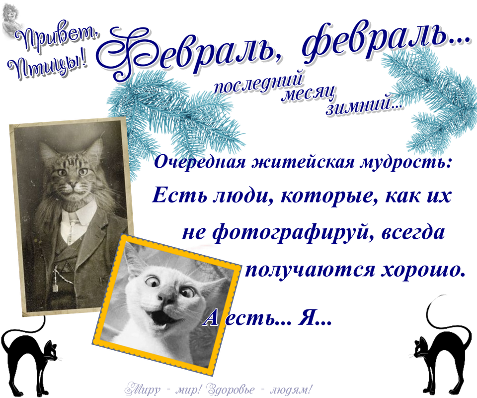 https://i.postimg.cc/CKMvgs30/15-02.png