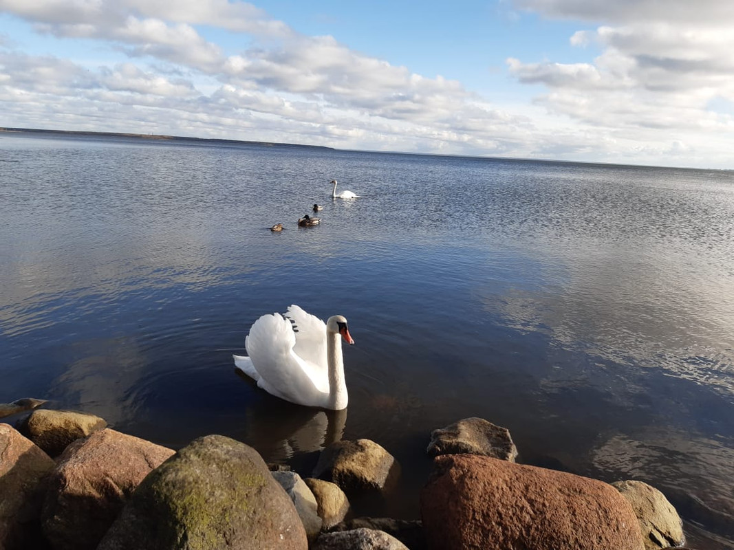 IMG-20210321-WA0031