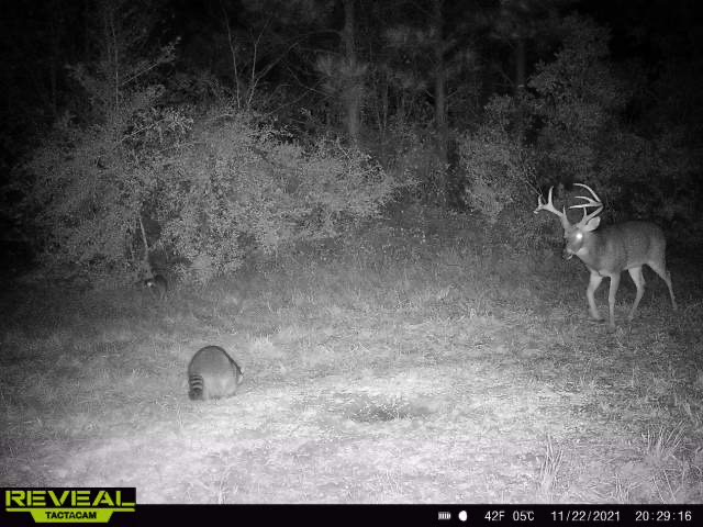 52F2D65C-E48C-4728-8A37-39F4E29C75D2