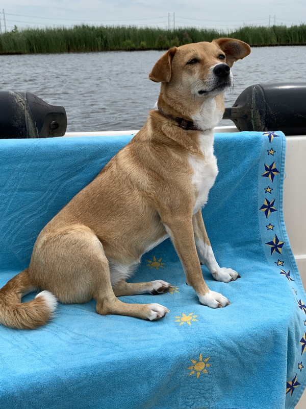 E9D71AAE-15DA-481F-916B-EBC08505E6AC