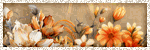 Happy-Pumpkin