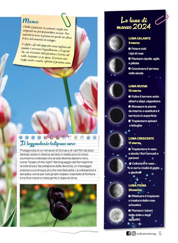 Pol Ver Mar 2024 (2)