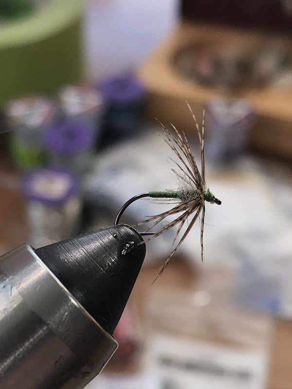 B0F48279-12E2-4B16-B26D-46513503E54F