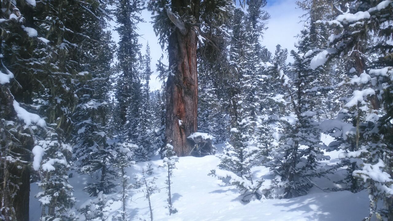 IMG_20190528_220344_014