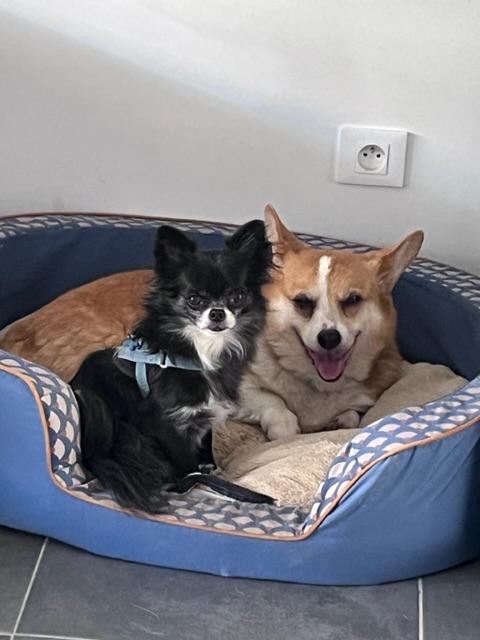 [Image: IMG-6455.jpg]