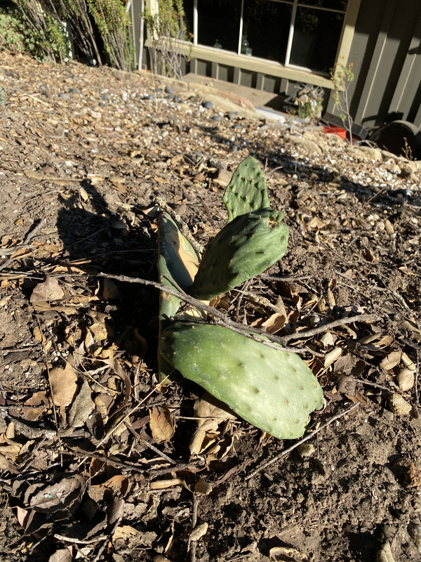 25A5B369-02A4-43BF-AEB4-CCE2F1430E39