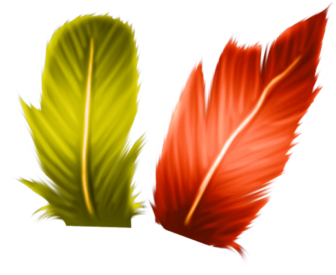 Halloweenpumpkitdnfeathers