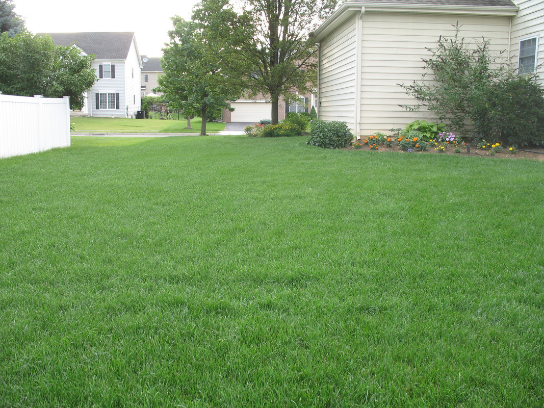 Lawn and Gardens 07.05.2017  (2)