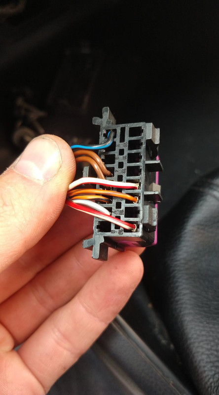 95097425_269217460920670_3017797215063113728_n