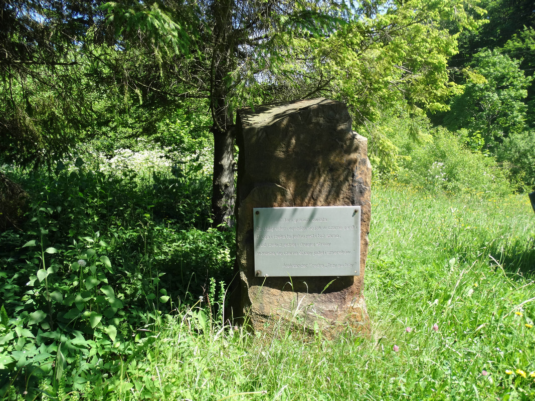 179 - DSC01466 (TomaszK)