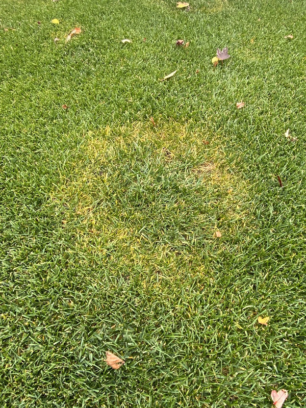 F3D157BB-2BDA-414C-A3EB-195EA87129DE