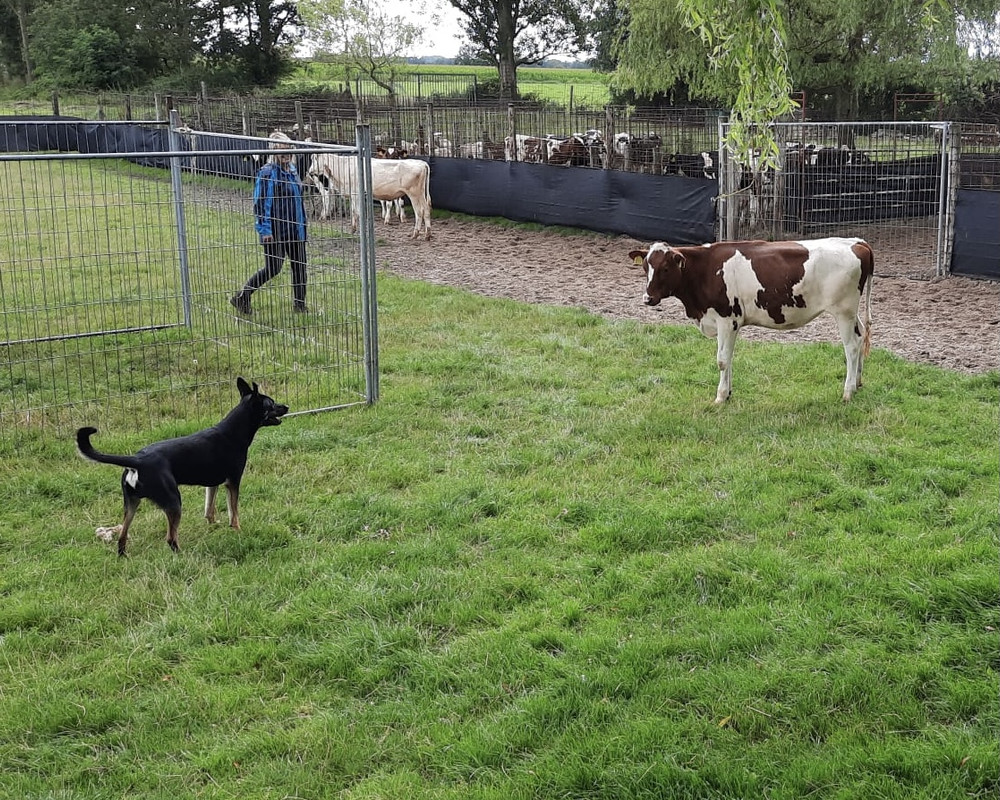 0E305A5B-292C-42C7-882A-63A4ECB450A1