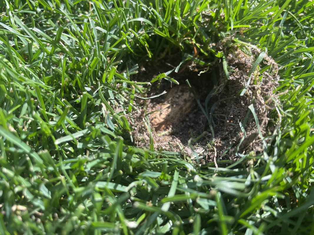 D85F098F-6E6F-4347-8735-35F448A058BC