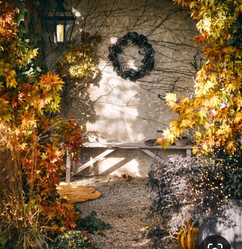 Screenshot_20231130_235643_Pinterest