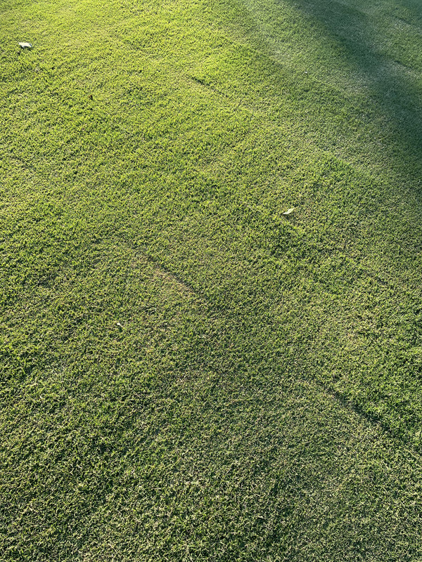 46D88606-32CD-4CB8-B6F9-AD4632981B4D