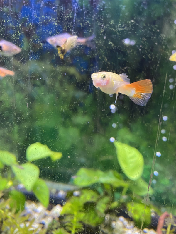 6B6D792D-AF7E-4DA5-95E7-365ED387B4BD