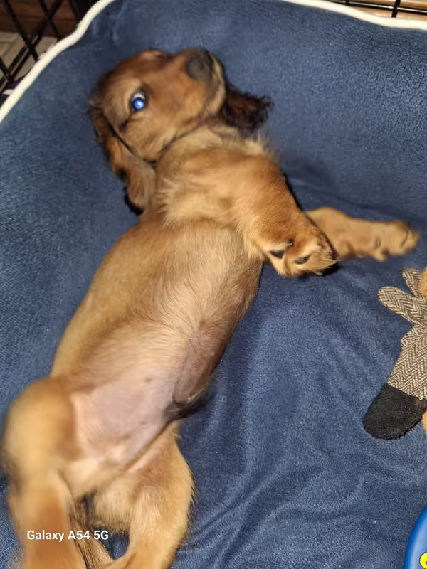 [Image: 20240909-210533.avif]