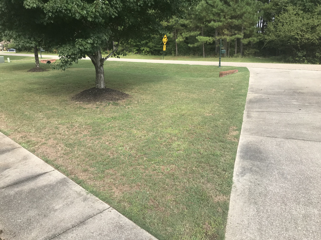 E2091D30-AEC8-494F-8147-DE0F6895C92F