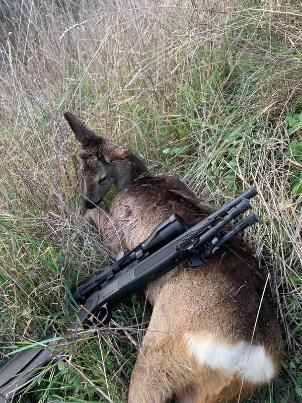 C4BE80DC-00A2-45AF-B6D3-F913C8DA3D3A