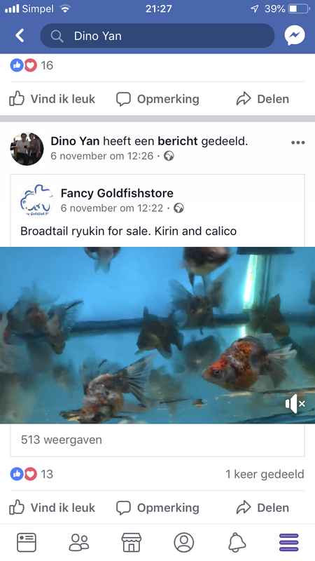 FE2900B6-D9FF-481A-801D-54EDA7381339