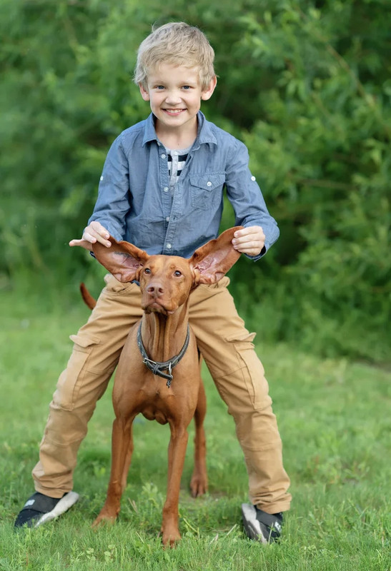 D5DA7F65-D0D7-4479-9285-40CBF2B96CB5