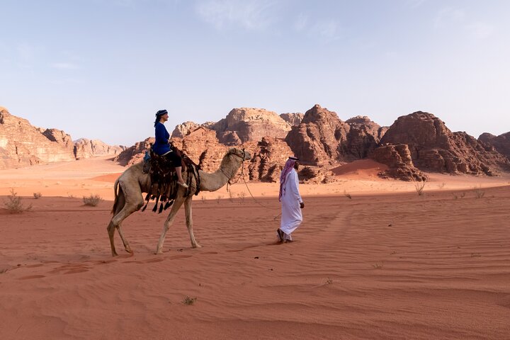 Camel tours in Wadi Rum