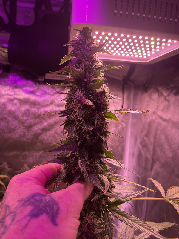 349F38F2-32D9-4D4C-81F2-B61D1F0FED25