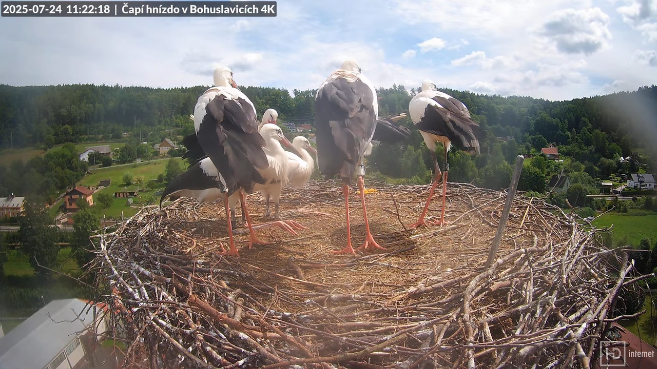 Tiešraide no KARA uzņēmuma stārķu skursteņa Bohuslavicē netālu no Trutnovas 13-16-3 screenshot