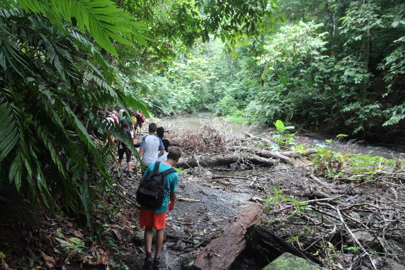 DIA 13: EXCURSIÓN DE UN DÍA A CORCOVADO - DE TORTUGAS Y PEREZOSOS. COSTA RICA 2019 (56)