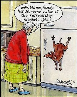 Dog Humor #2